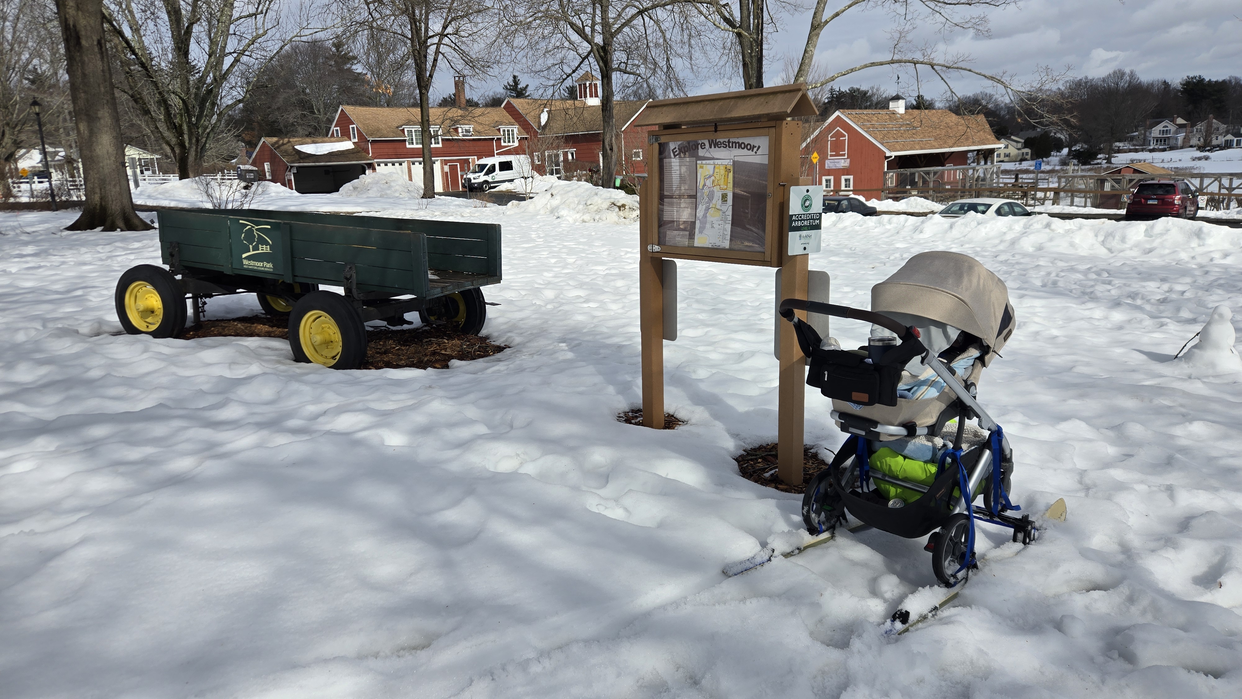 StrollSki in the park